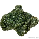 Pyromorphite on Malachite - image 2