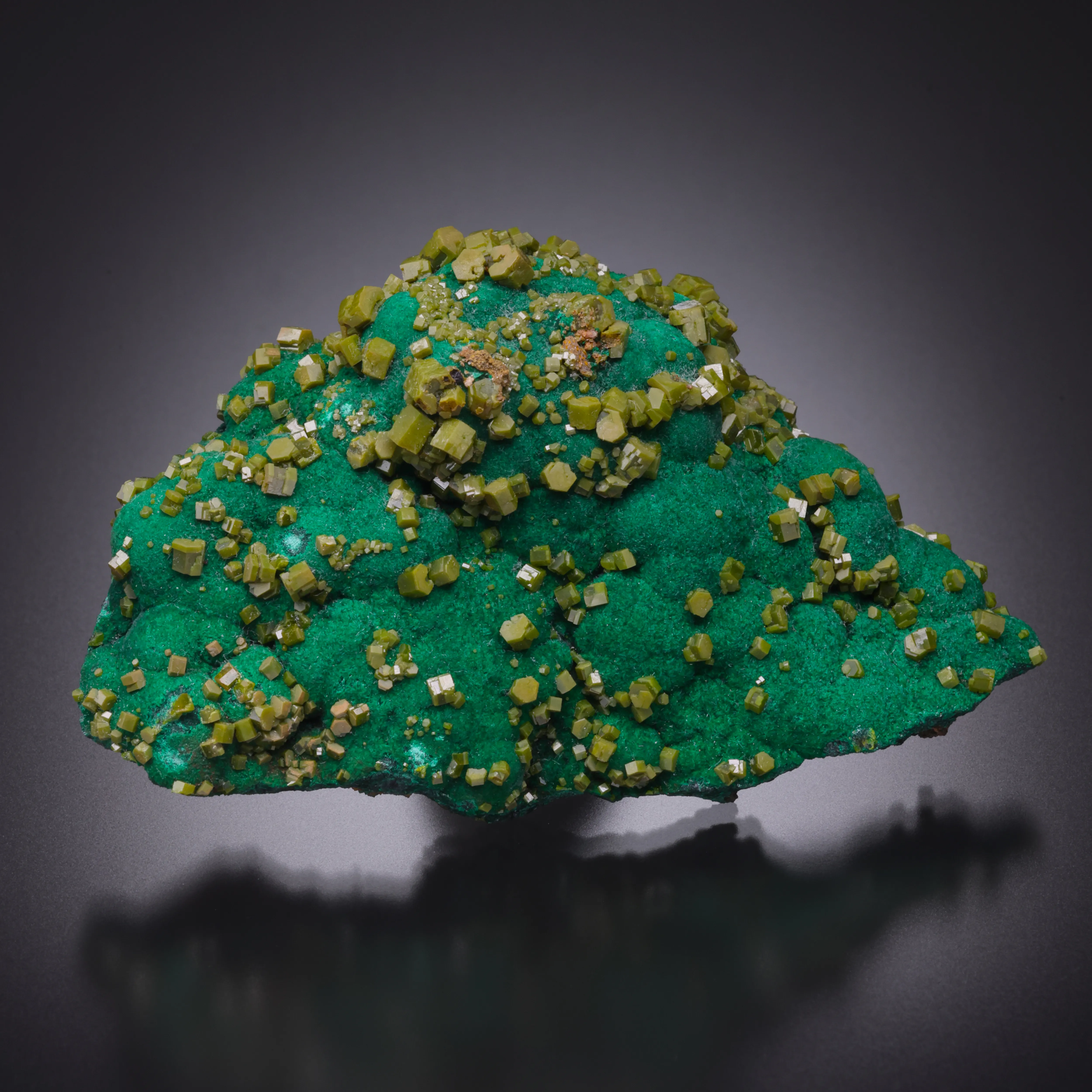 Pyromorphite on Malachite - image 1