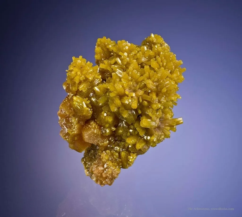 Pyromorphite on Pyromorphite image
