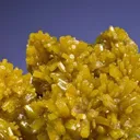 Pyromorphite on Pyromorphite - image 3