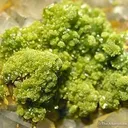 Pyromorphite on Quartz - image 3