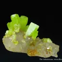 Pyromorphite on Quartz - image 3