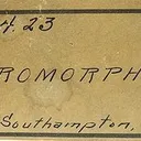Pyromorphite on Quartz - image 5