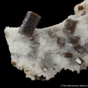 Pyromorphite on Quartz - image 4