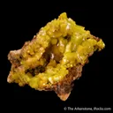 Pyromorphite "pocket" - image 1