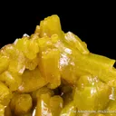Pyromorphite "pocket" - image 5