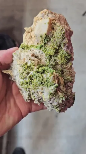 specimen video