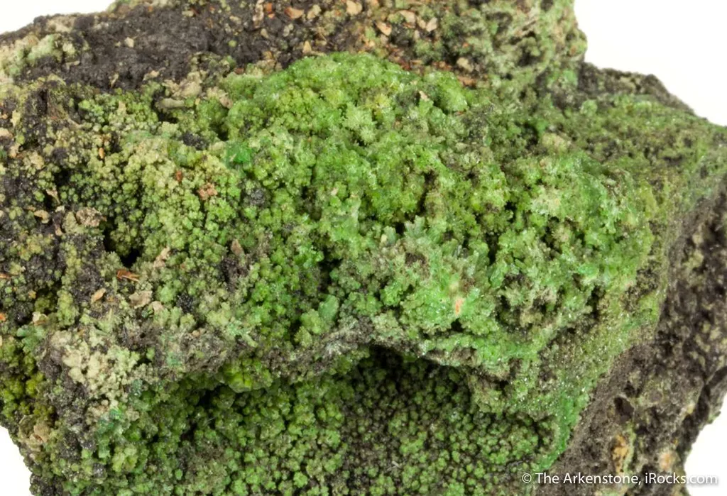 Pyromorphite (rare locale) image