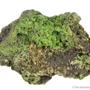 Pyromorphite (rare locale) - image 5