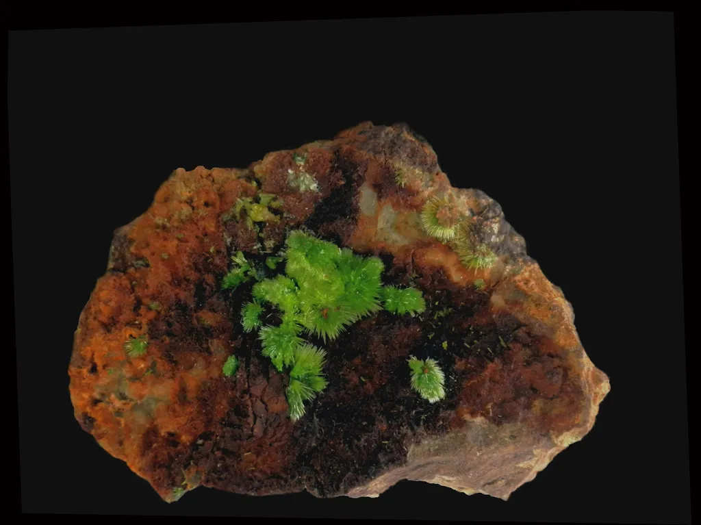 Pyromorphite, St Salvy de la Balme, France image