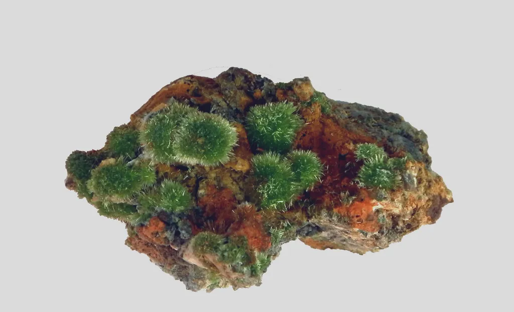 Pyromorphite , St Salvy de la Balme , France - (trouvé) image