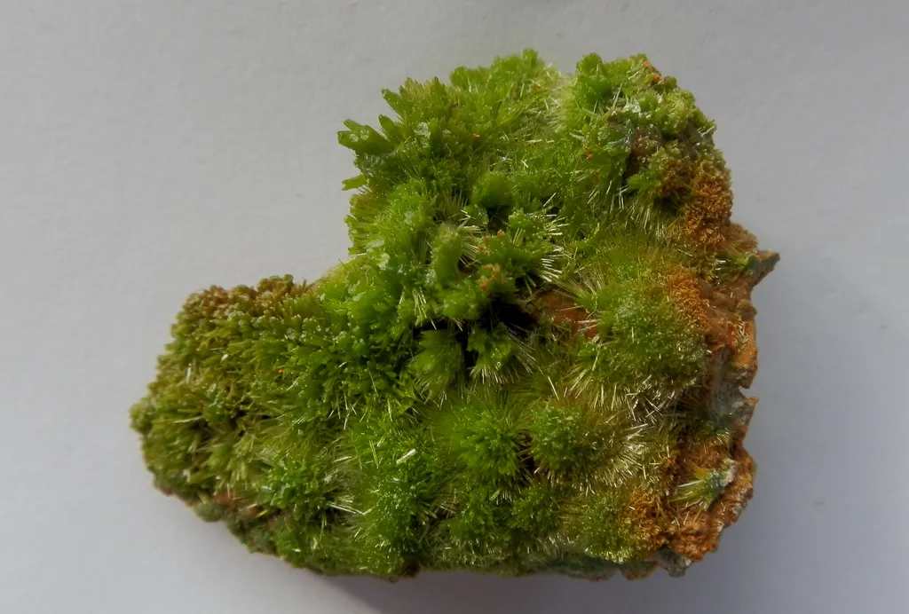 Pyromorphite , St Salvy de la Balme , France - (trouvé) image