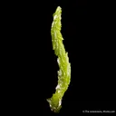 Pyromorphite stalactite - image 4