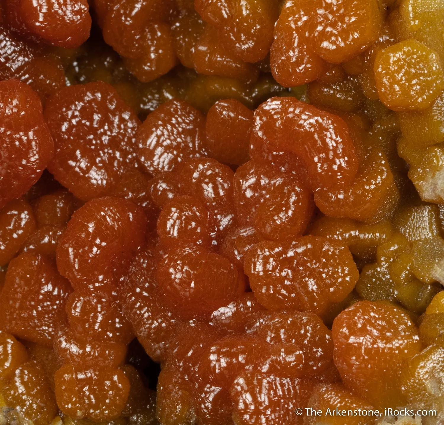 Pyromorphite var. Arsenian - image 5