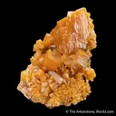 Pyromorphite var. Arsenian - image 4
