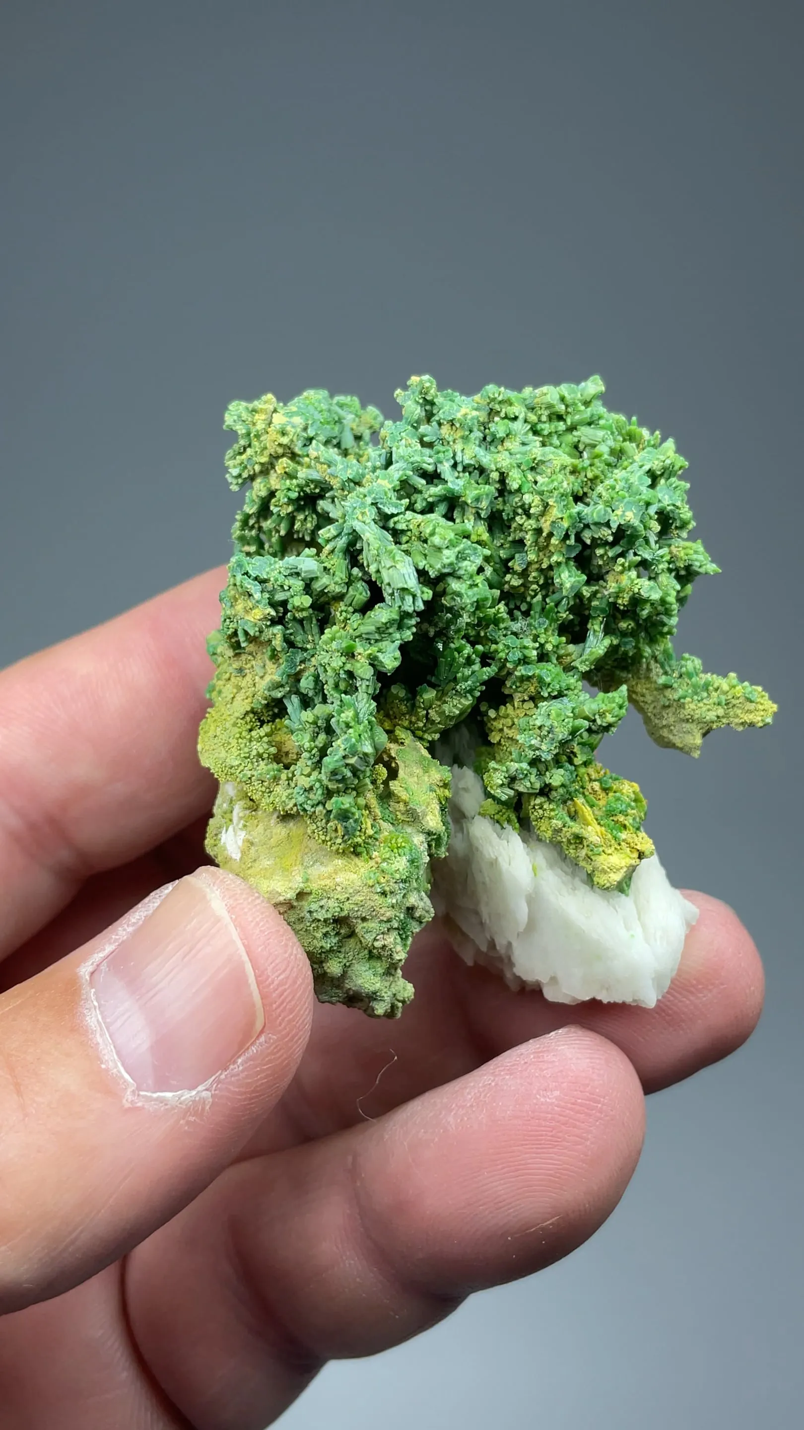 Pyromorphite with Barite - image 2