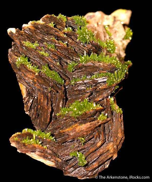Pyromorphite With Fluorite on Baryte image