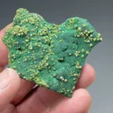 Pyromorphite with Malachite - image 2