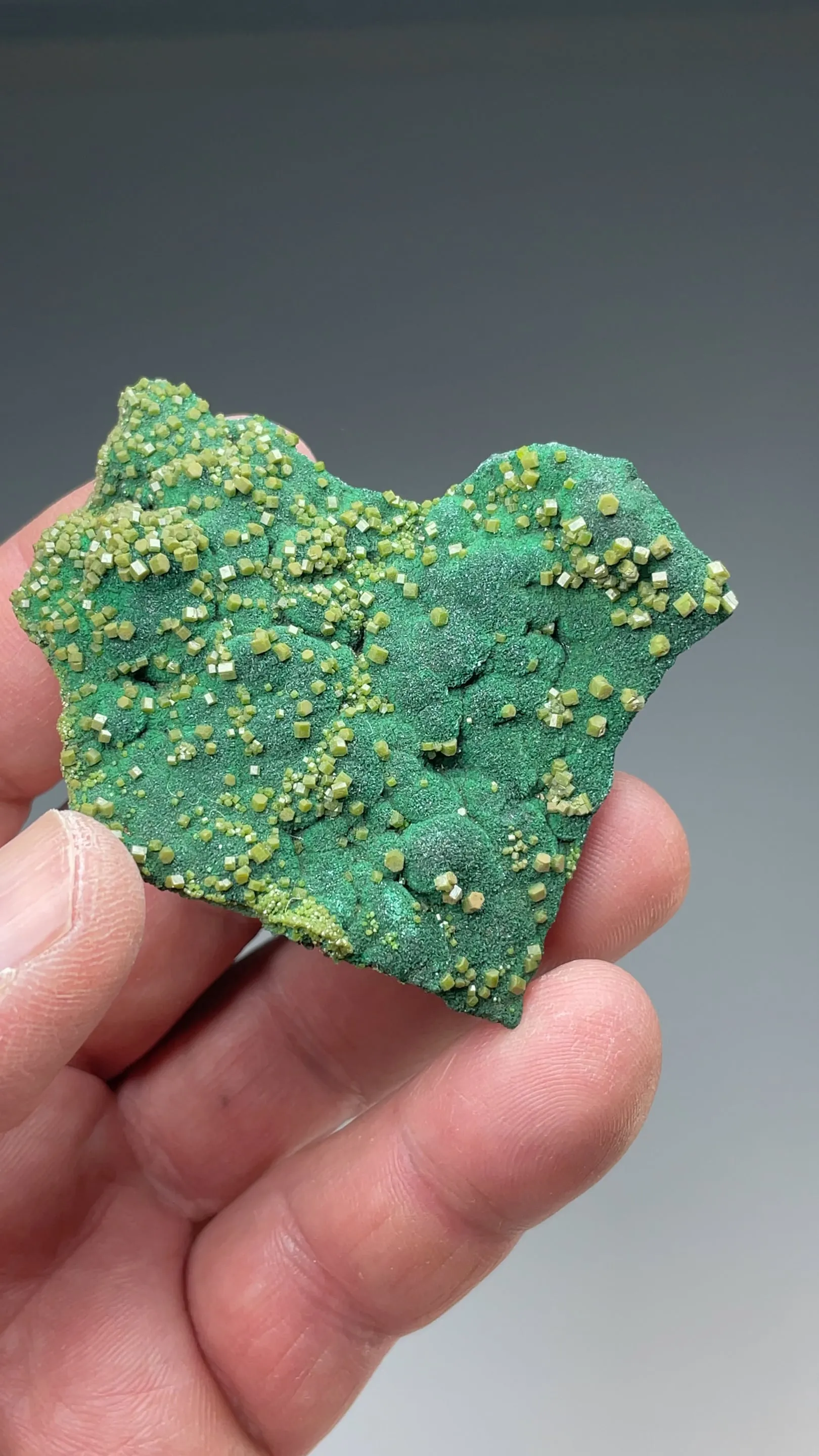 Pyromorphite with Malachite - image 2