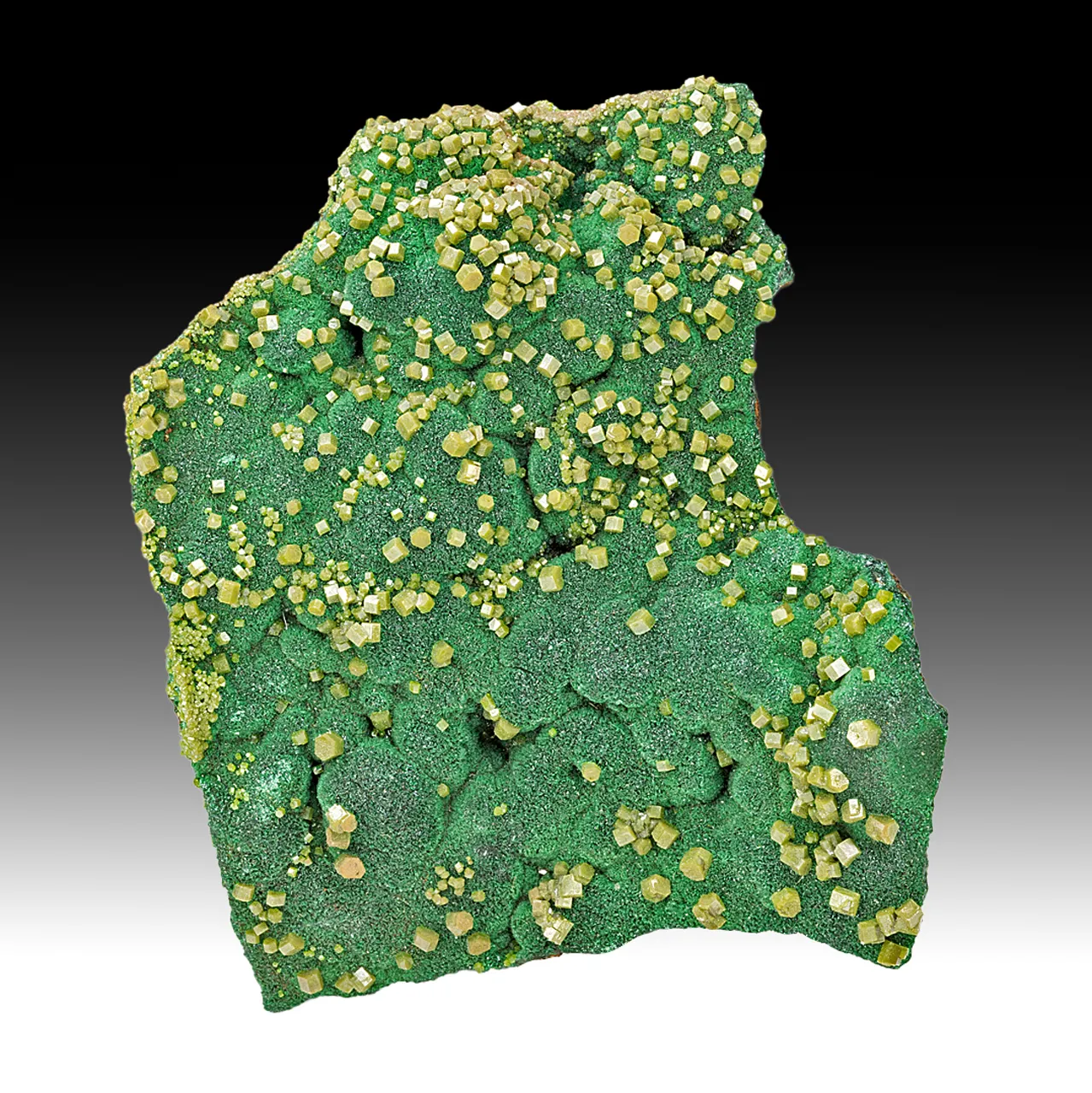 Pyromorphite with Malachite - image 1