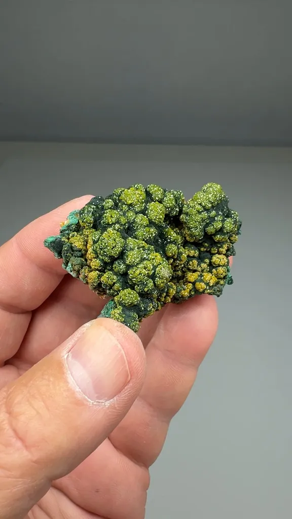 Pyromorphite with Malachite (ATES-0008) image