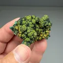 Pyromorphite with Malachite (ATES-0008) - image 1