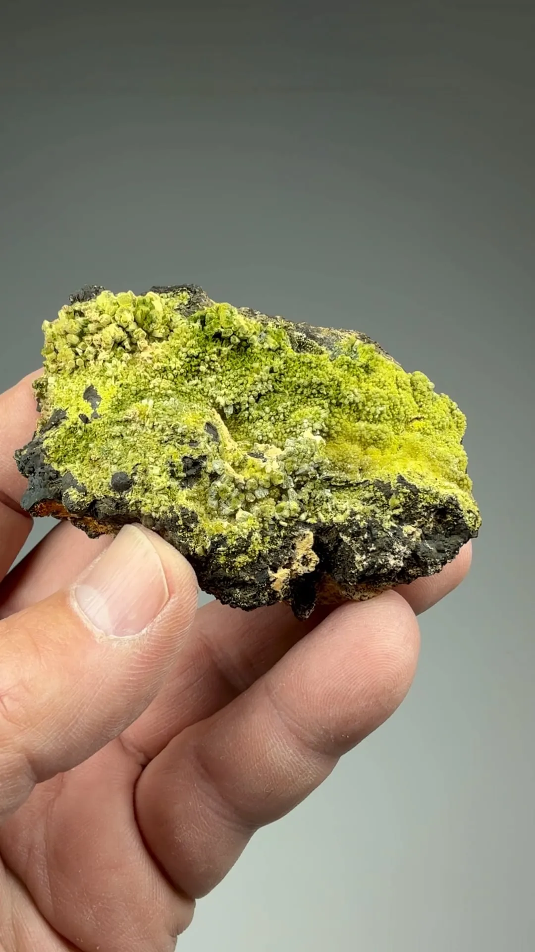 Pyromorphite with Plumbogummite - image 2