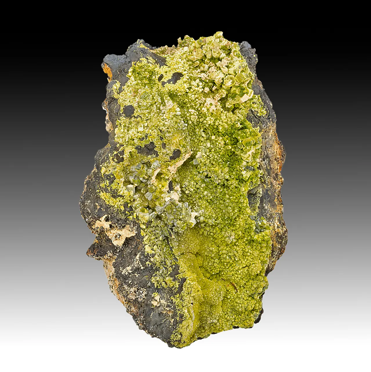 Pyromorphite with Plumbogummite - image 1