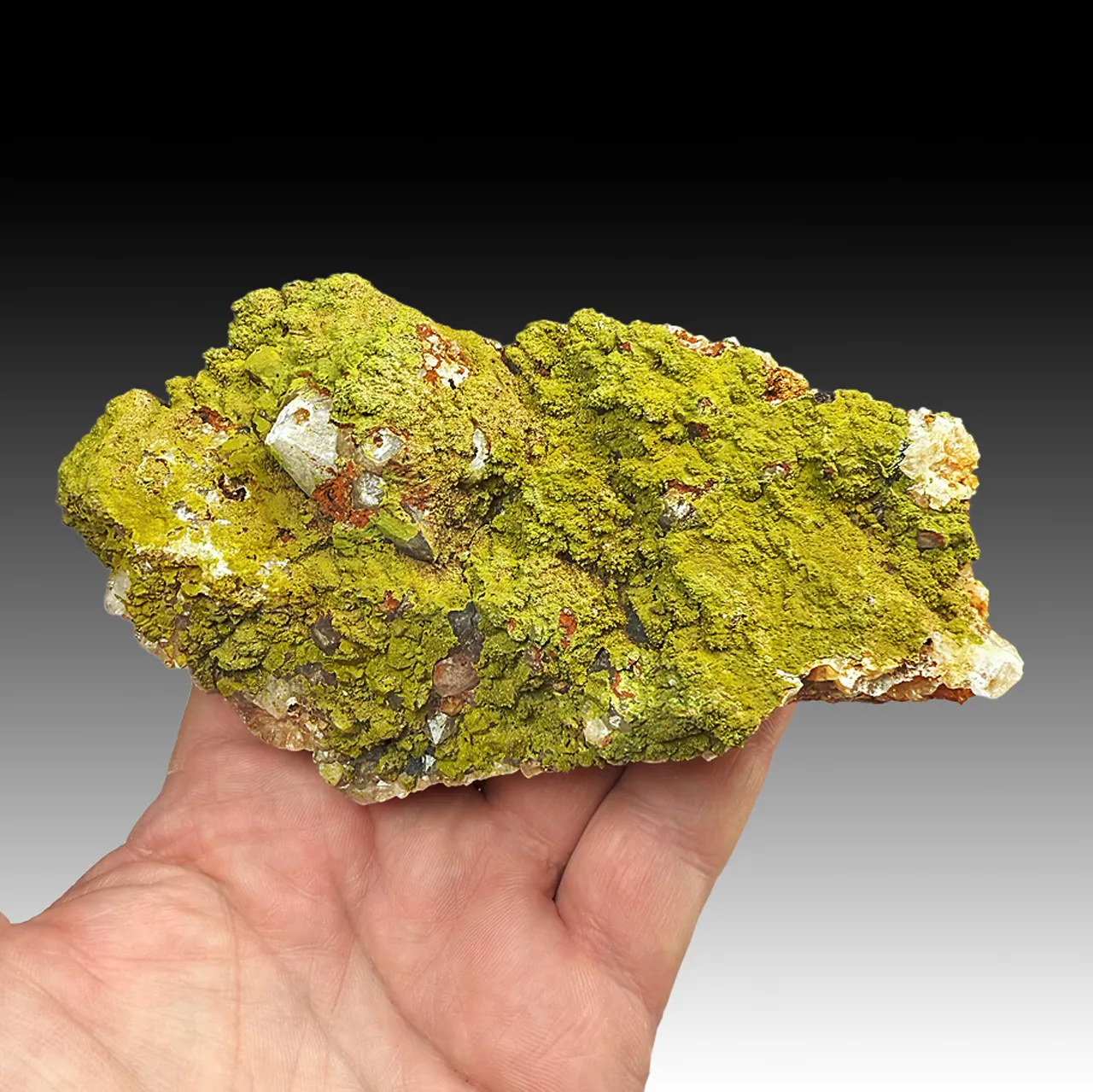Pyromorphite with Quartz - image 1
