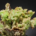 Pyromorphite with Tarbuttite - image 1