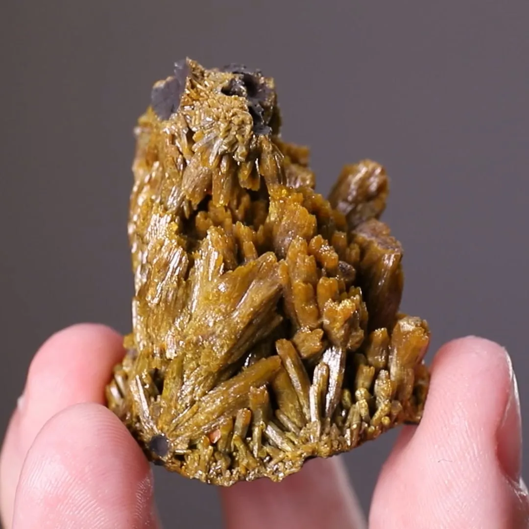 Pyromorphite with Wulfenite - image 2