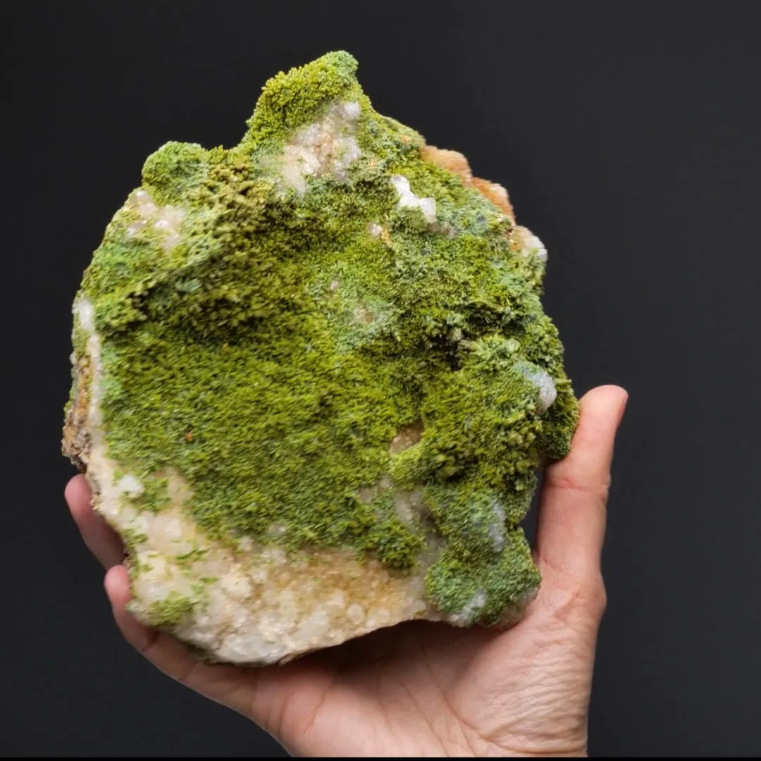 PYROMORPHYTE - image 2