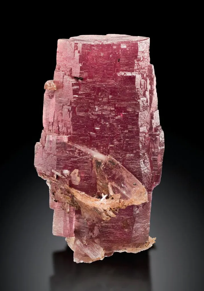 Pyrosmalite-(Mn), Bustamite image