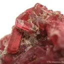 Pyroxmangite (!!!) - image 3