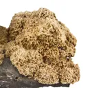 Pyrrhotite - image 4