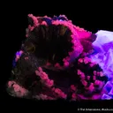 Pyrrhotite and Fluorite with Calcite - image 7