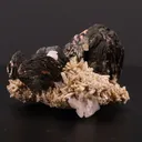 Pyrrhotite - image 2