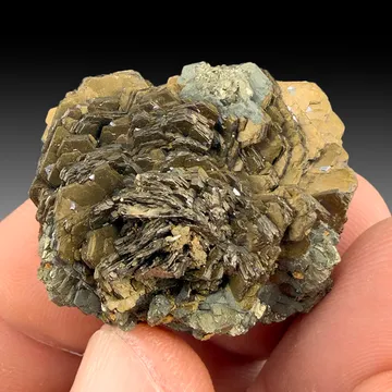Pyrrhotite from Nikolaevskiy Mine, Dalnegorsk, Dalnegorsk Urban District, Primorsky Krai, Russia
