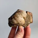 Pyrrhotite from Russia, Primorsky Krai, Dalnegorsk Urban District, Dalnegorsk - image 4