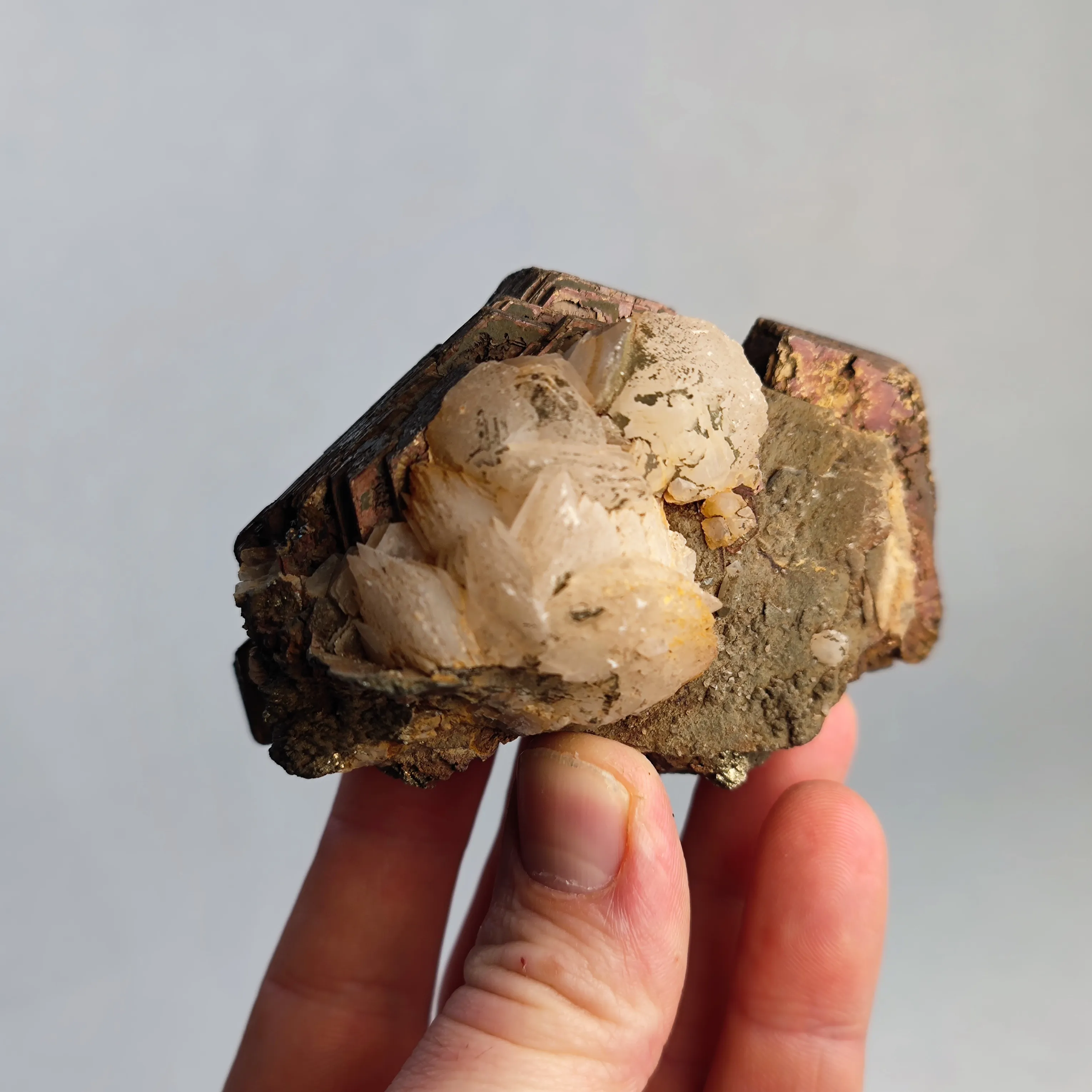 Pyrrhotite from Russia, Primorsky Krai, Dalnegorsk Urban District, Dalnegorsk - image 4