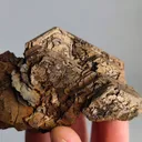 Pyrrhotite from Russia, Primorsky Krai, Dalnegorsk Urban District, Dalnegorsk - image 2