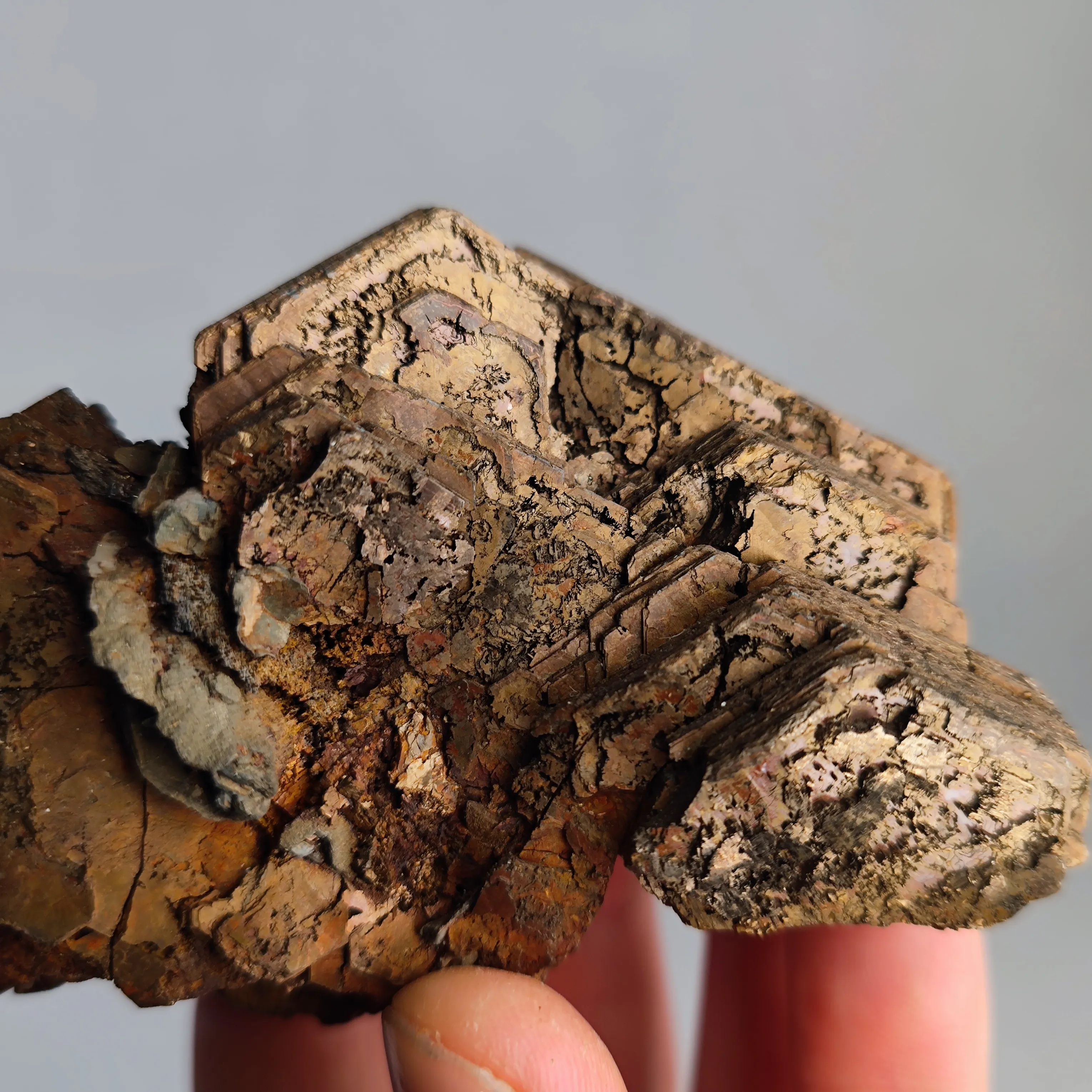 Pyrrhotite from Russia, Primorsky Krai, Dalnegorsk Urban District, Dalnegorsk - image 2