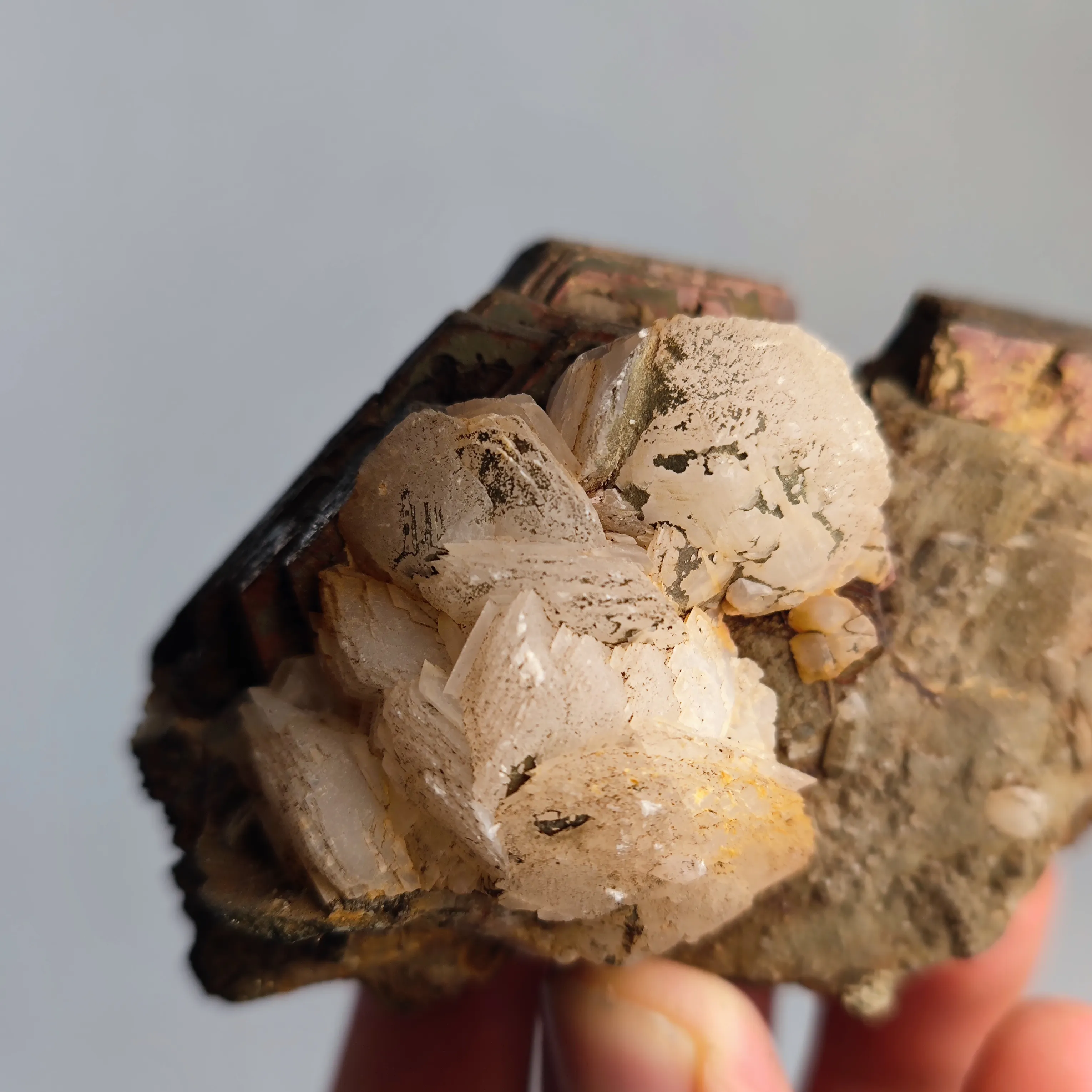 Pyrrhotite from Russia, Primorsky Krai, Dalnegorsk Urban District, Dalnegorsk - image 3