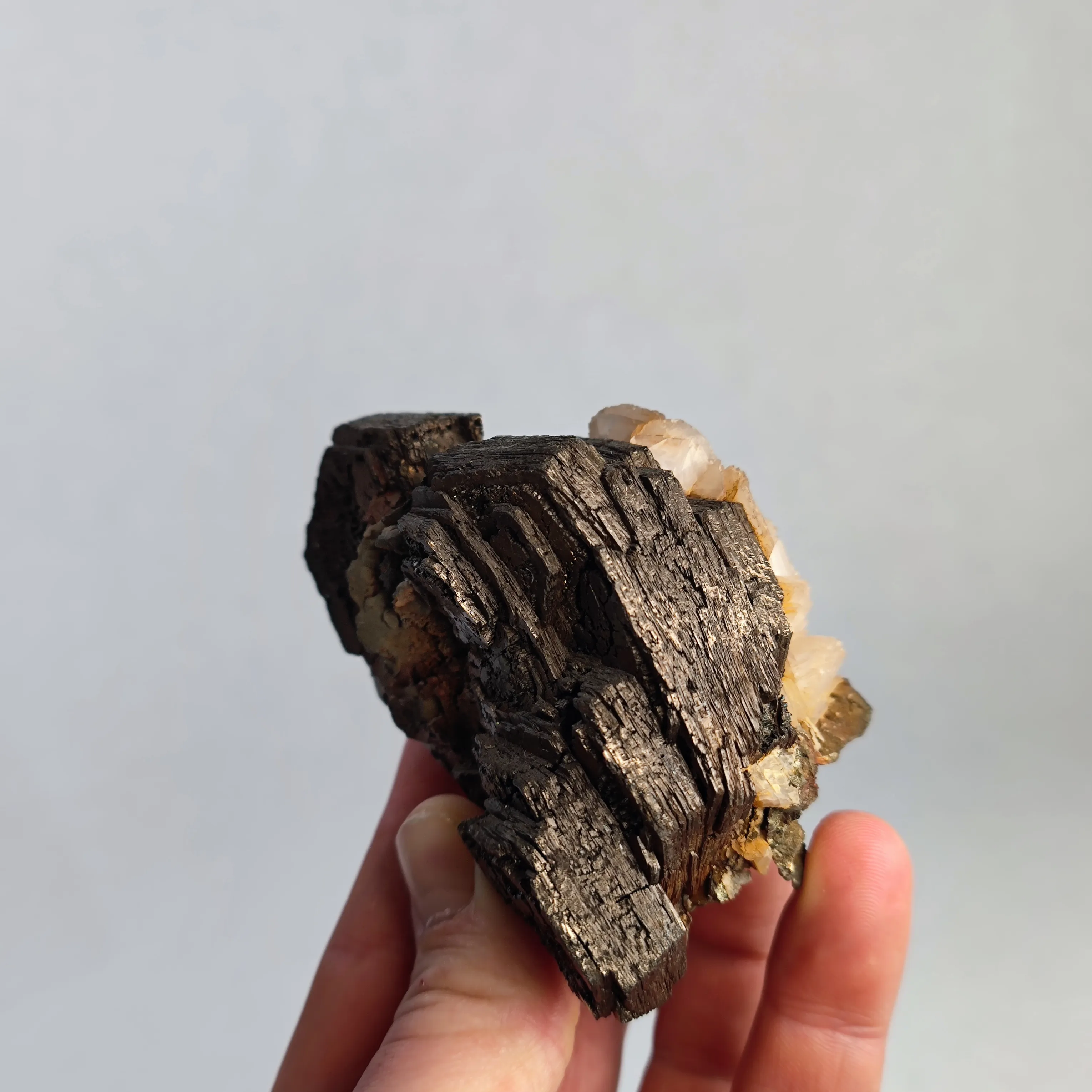 Pyrrhotite from Russia, Primorsky Krai, Dalnegorsk Urban District, Dalnegorsk - image 5