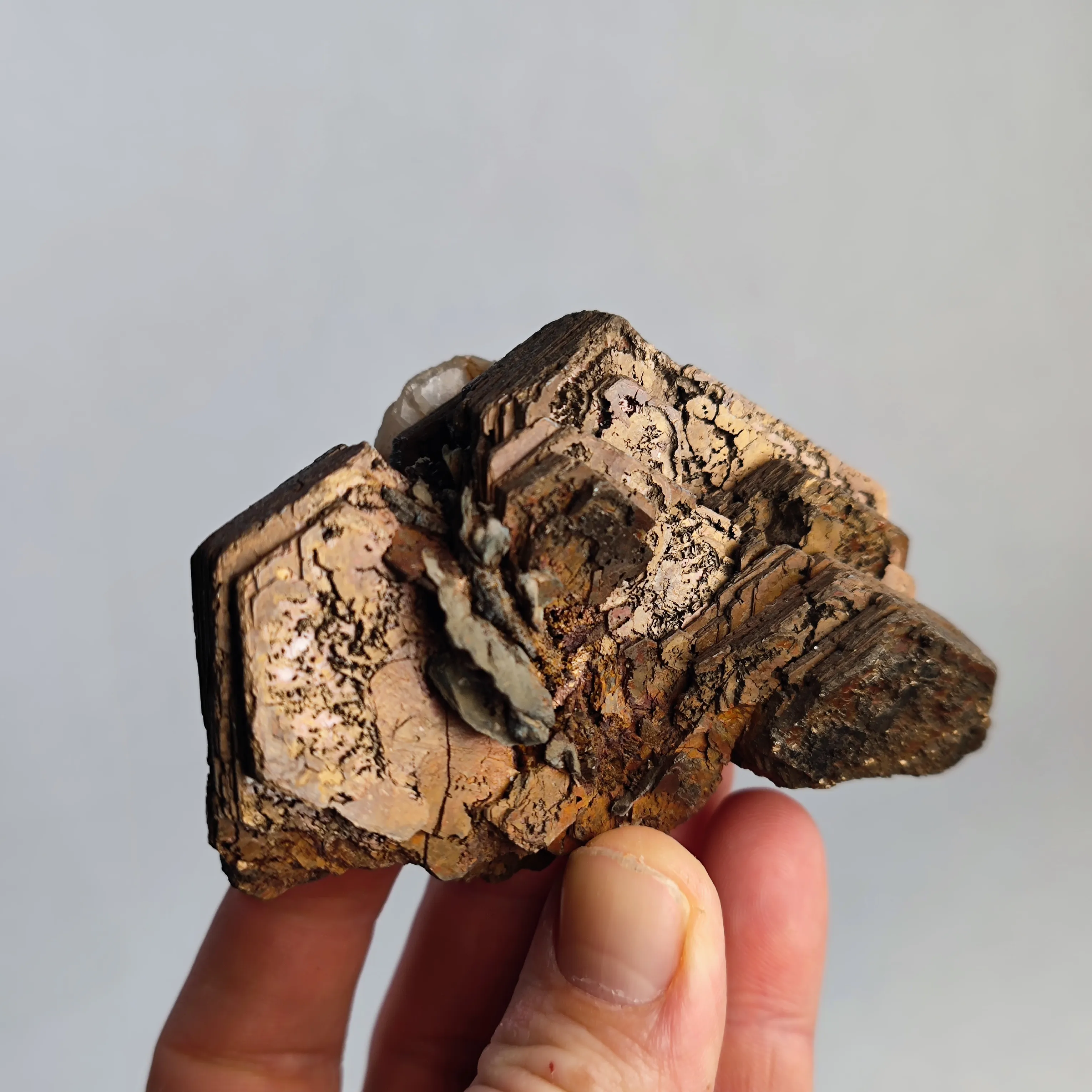 Pyrrhotite from Russia, Primorsky Krai, Dalnegorsk Urban District, Dalnegorsk - image 6