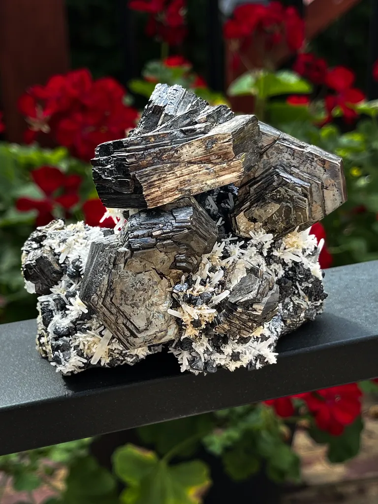 Pyrrhotite from Russia, Primorsky Krai, Dalnegorsk Urban District, Dalnegorsk, Nikolaevskiy Mine image