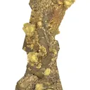Pyrrhotite Stalactite With Siderite - image 5