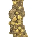 Pyrrhotite Stalactite With Siderite - image 3