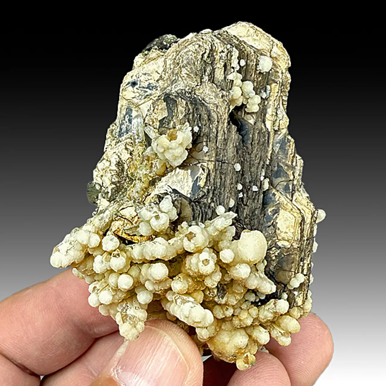 Pyrrhotite with Quartz - image 1