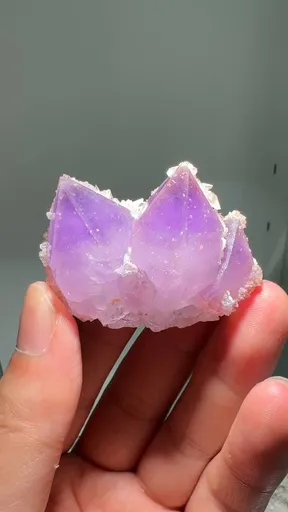 specimen video
